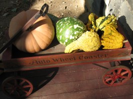 Fall Harvest Wagon on the porch